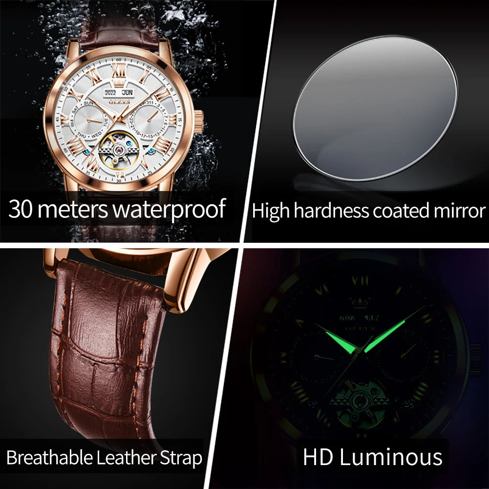 OLEVS 6668 Men Automatic Watches Roman Scale Mechanical Watch For Men Top Brand Waterproof Auto Date Original Male Hand Clock